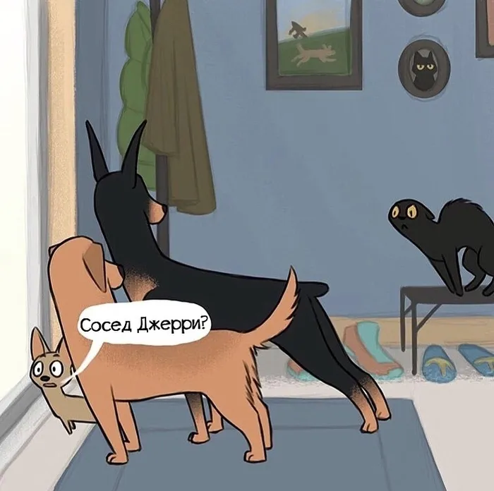 Жизнь домашних животных. #5