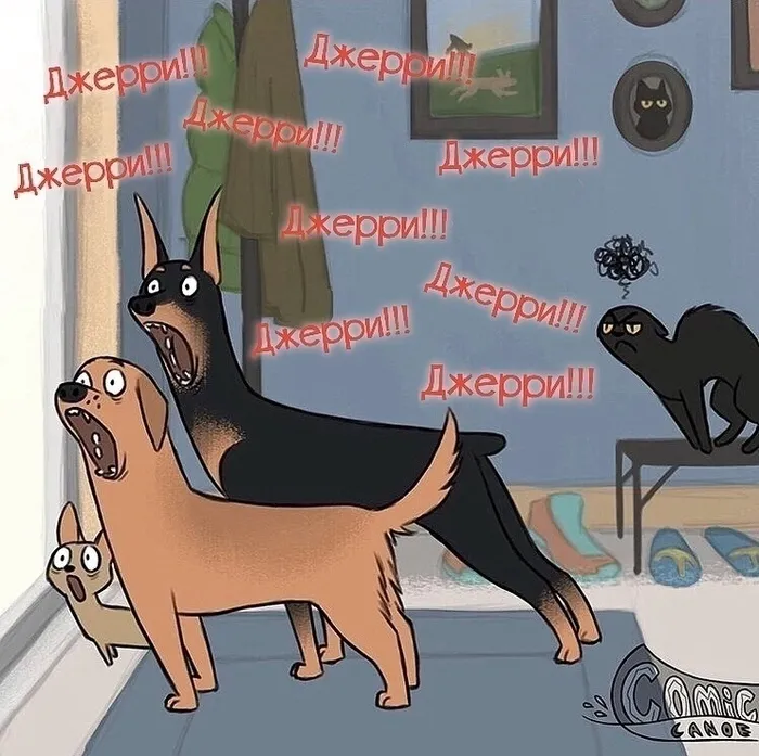 Жизнь домашних животных. #6