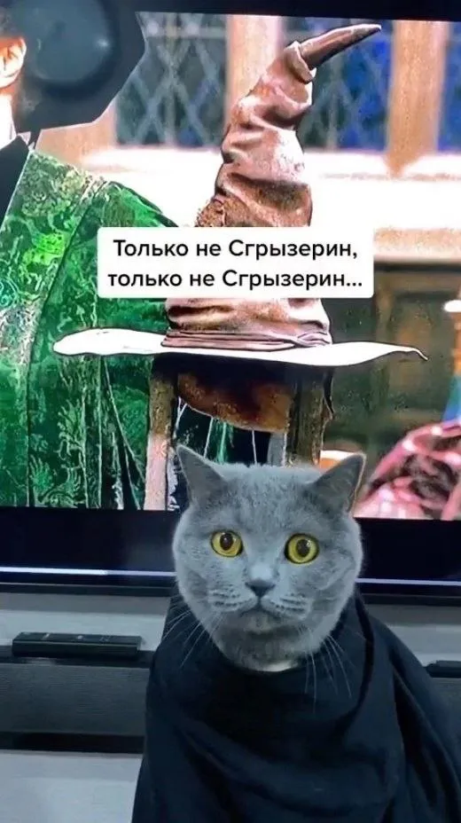 Очень сложно. #1
