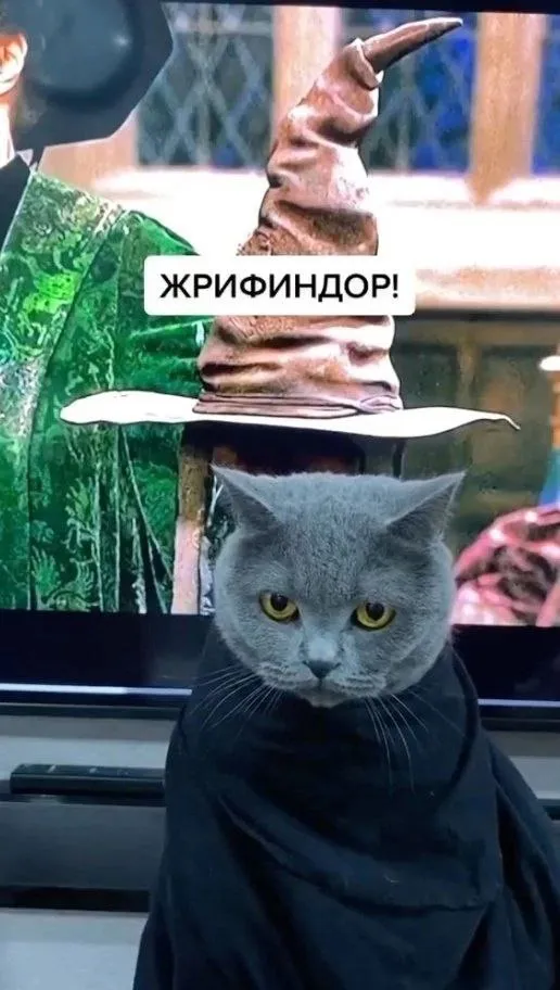 Очень сложно. #3