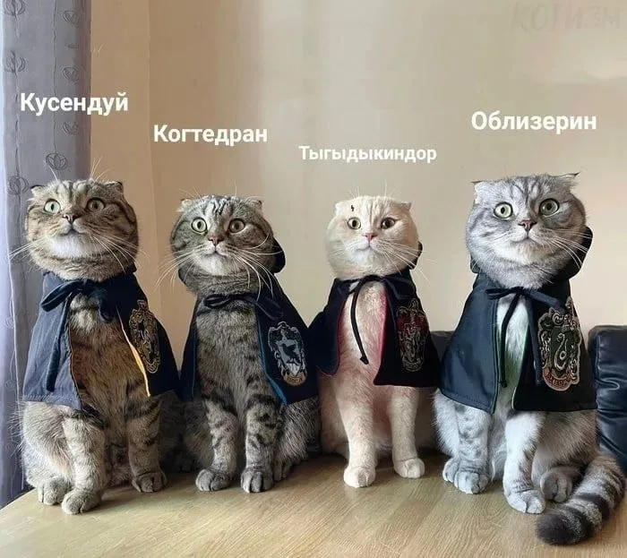 Очень сложно. #4