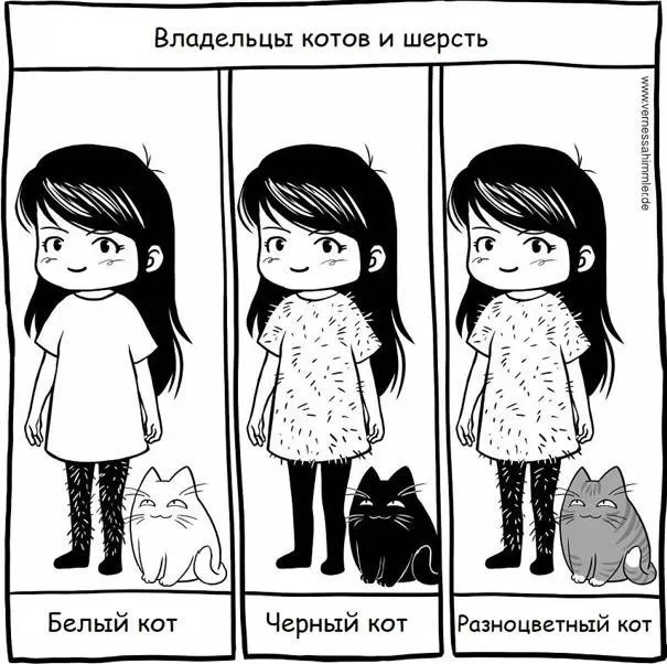 Любой кот. #1