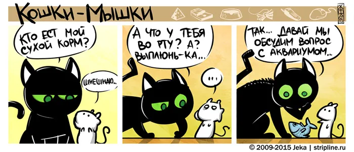Кошки-Мышки. Знакомство с соседями. #2