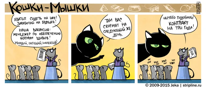 Кошки-Мышки. Знакомство с соседями. #4