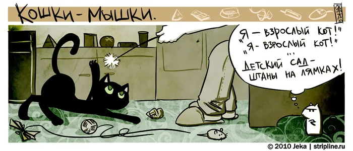 О котах и людях. #1