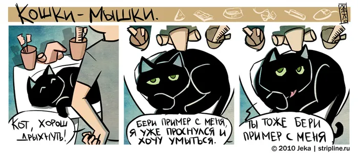 О котах и людях. #2