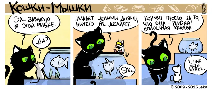 Кошки-Мышки. Меланхолия. #3