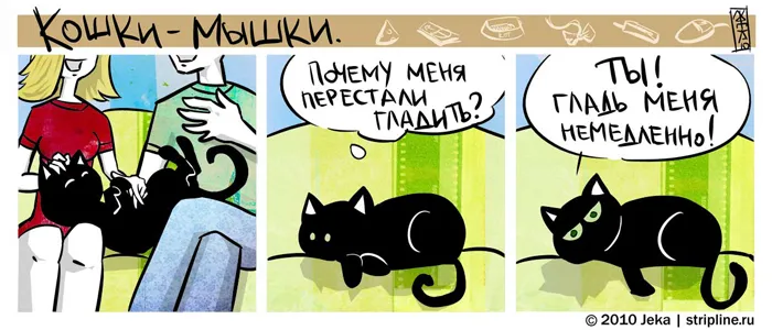 Кошки-Мышки. Меланхолия. #4