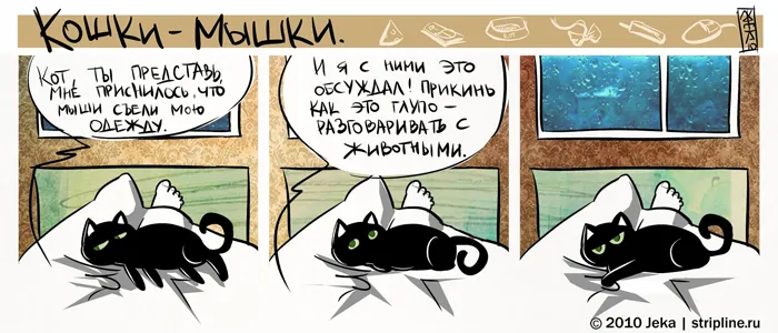 Кошки-Мышки (выпуск 6). #4