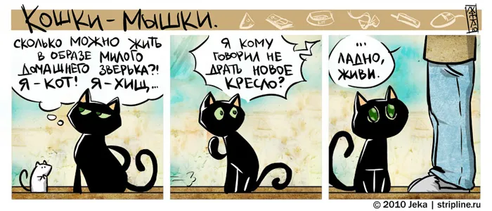 Кошки-Мышки (выпуск 6). #2