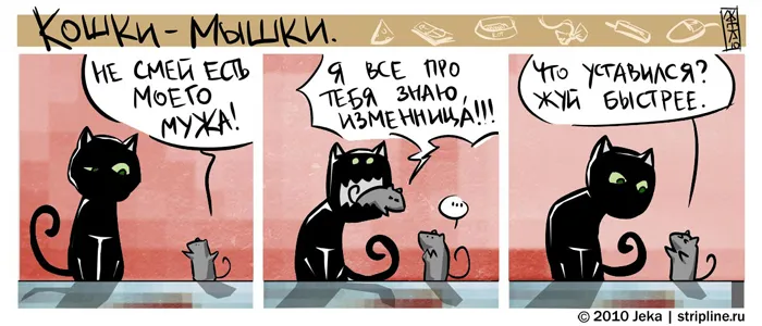Кошки-Мышки (выпуск 6). #3