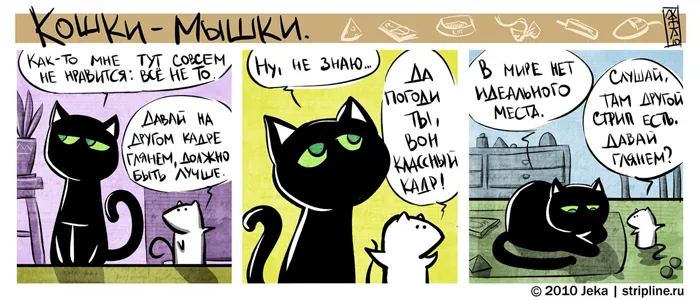 Кошки-Мышки (выпуск 7) #3