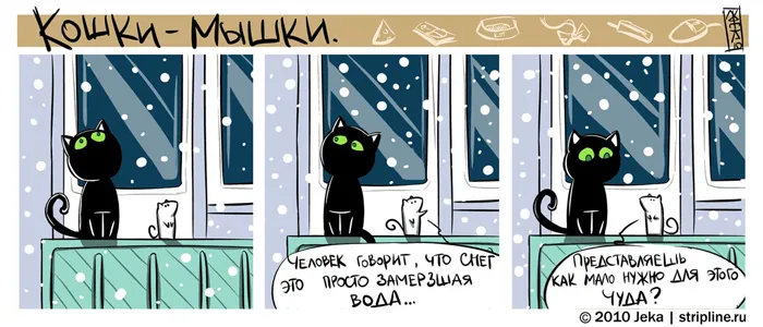 Кошки-Мышки (выпуск 7) #5