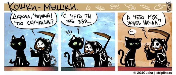 Кошки-Мышки (выпуск 8). #1