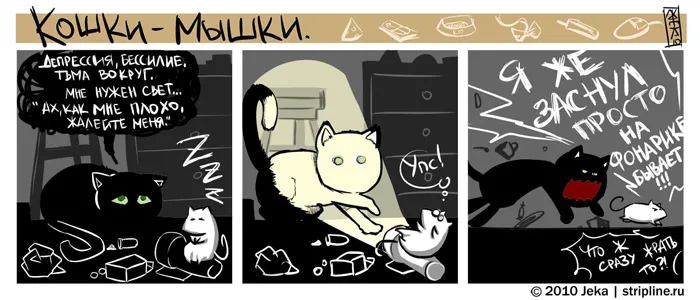 Кошки-Мышки (выпуск 8). #3