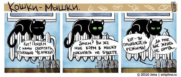 Кошки-Мышки (выпуск 9). #1
