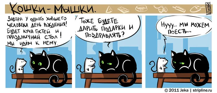 Кошки-Мышки (выпуск 9). #4