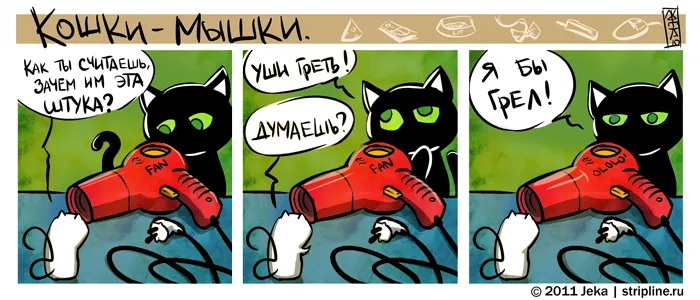 Кошки-Мышки (выпуск 9). #5