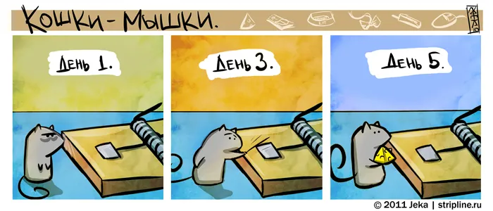 Кошки-Мышки (выпуск 10). #1