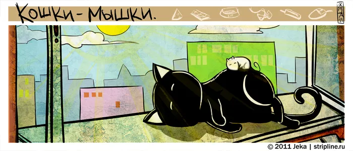 Кошки-Мышки (выпуск 11). #2