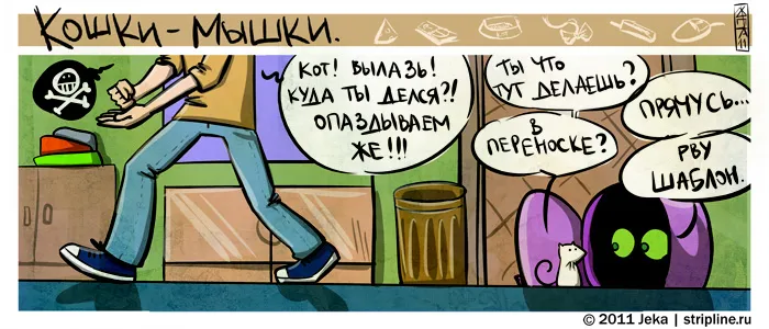 Кошки-Мышки (выпуск 11). #4