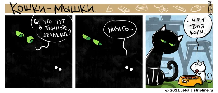 Кошки-Мышки (выпуск 11). #3
