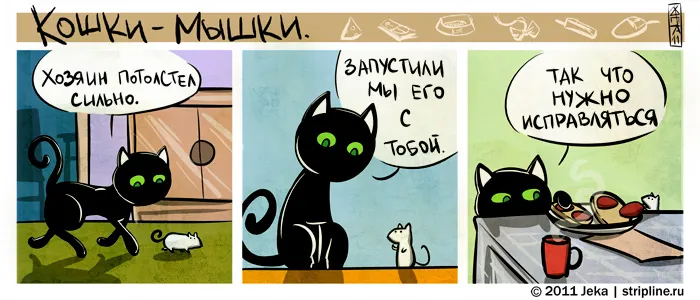 Кошки-Мышки (выпуск 12). #1
