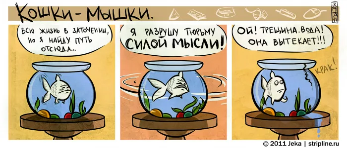 Кошки-Мышки (выпуск 12). #2