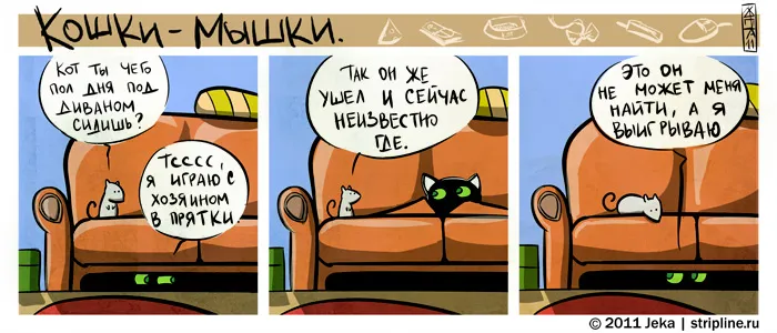 Кошки-Мышки (выпуск 12). #4