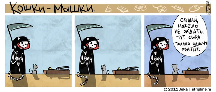 Кошки-Мышки (выпуск 12). #5