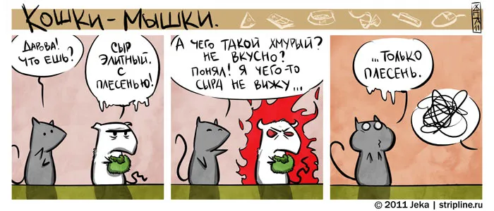 Кошки-Мышки (выпуск 13). #5
