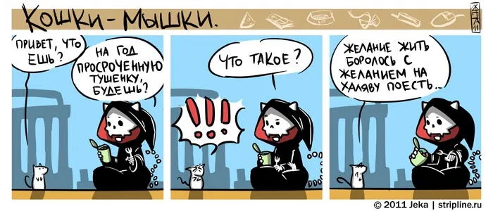 Кошки-Мышки (выпуск 13). #6