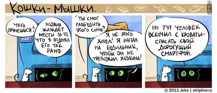 Кошки-Мышки (выпуск 15). #1