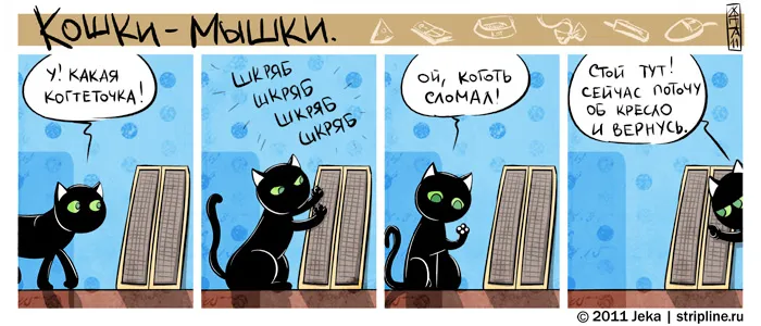Кошки-Мышки (выпуск 16). #3