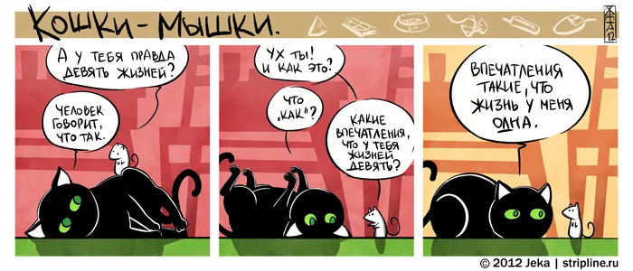 Кошки-Мышки (выпуск 17). #3