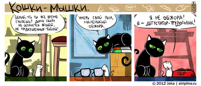 Кошки-Мышки (выпуск 19). #2