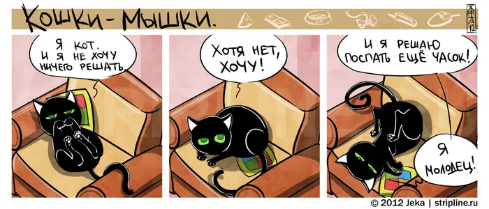 Кошки-Мышки (выпуск 20). #6