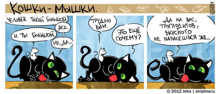 Кошки-Мышки (выпуск 20). #3
