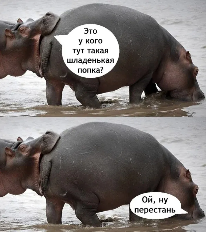 Кусь. #1