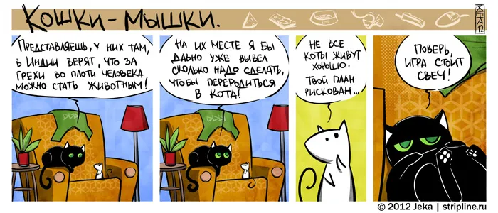 Кошки-Мышки (выпуск 21). #2