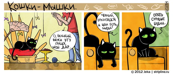 Кошки-Мышки (выпуск 22). #3