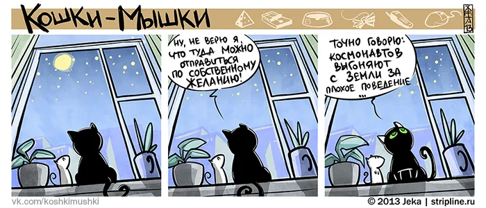 Кошки-Мышки (выпуск 26). #1