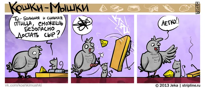 Кошки-Мышки (выпуск 26). #2