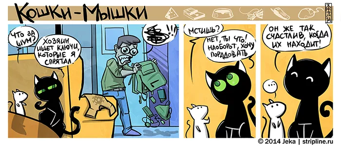 Кошки-Мышки (выпуск 29). #3