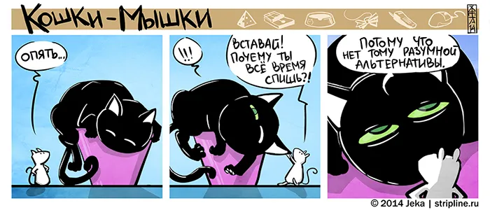 Кошки-Мышки (выпуск 32). #2