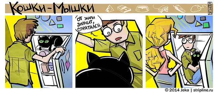 Кошки-Мышки (выпуск 33). #3