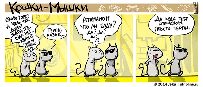 Кошки-Мышки (выпуск 33). #2