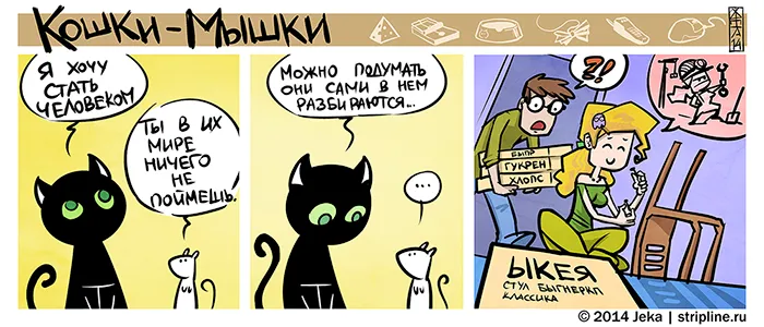 Кошки-Мышки (выпуск 33). #4