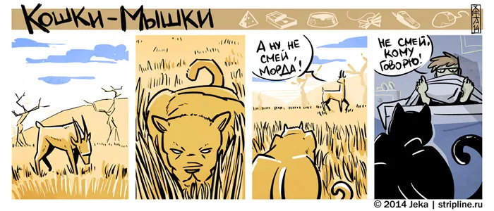 Кошки-Мышки (выпуск 33). #6