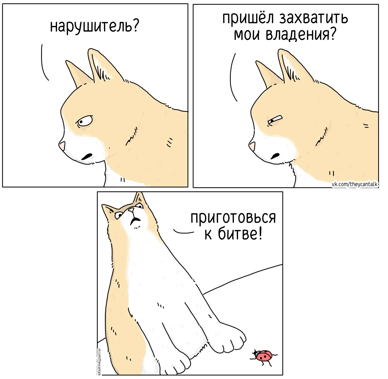 Нарушитель. #1